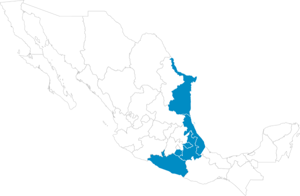 Golfo norte - Pacífico sur: Puebla, Tlaxcala, Morelos, Guerrero, Veracruz Norte y Tamaulipas
